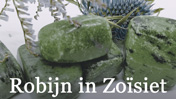 Robijn in Zoïsiet