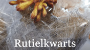 Rutielkwarts