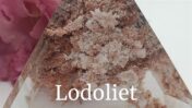 Lodoliet