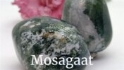 Mosagaat