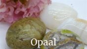 Opaal